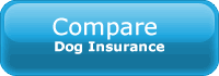 compare dog insurance