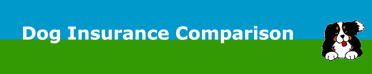 insurance for dogs, cats, pets